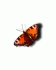 anim176220mobildesign.atw.hu_0016.gif